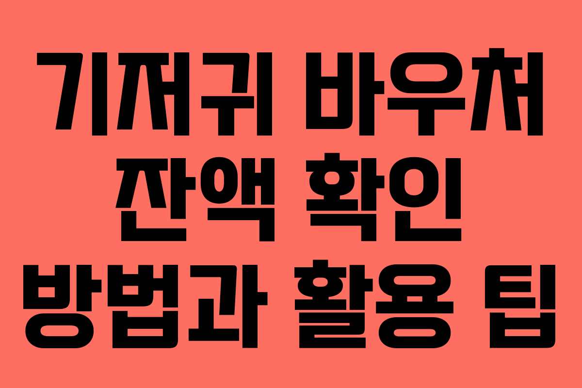 기저귀 바우처 잔액 확인 방법과 활용 팁