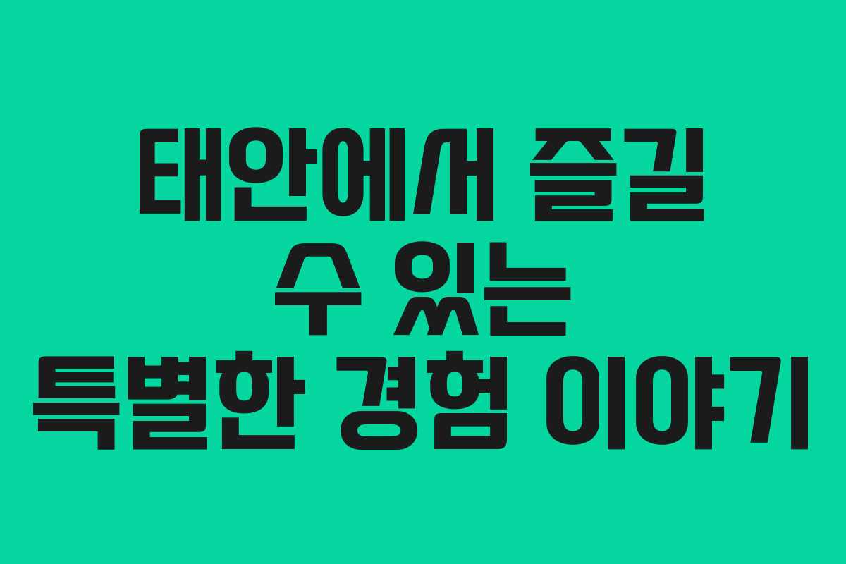 태안에서 즐길 수 있는 특별한 경험 이야기