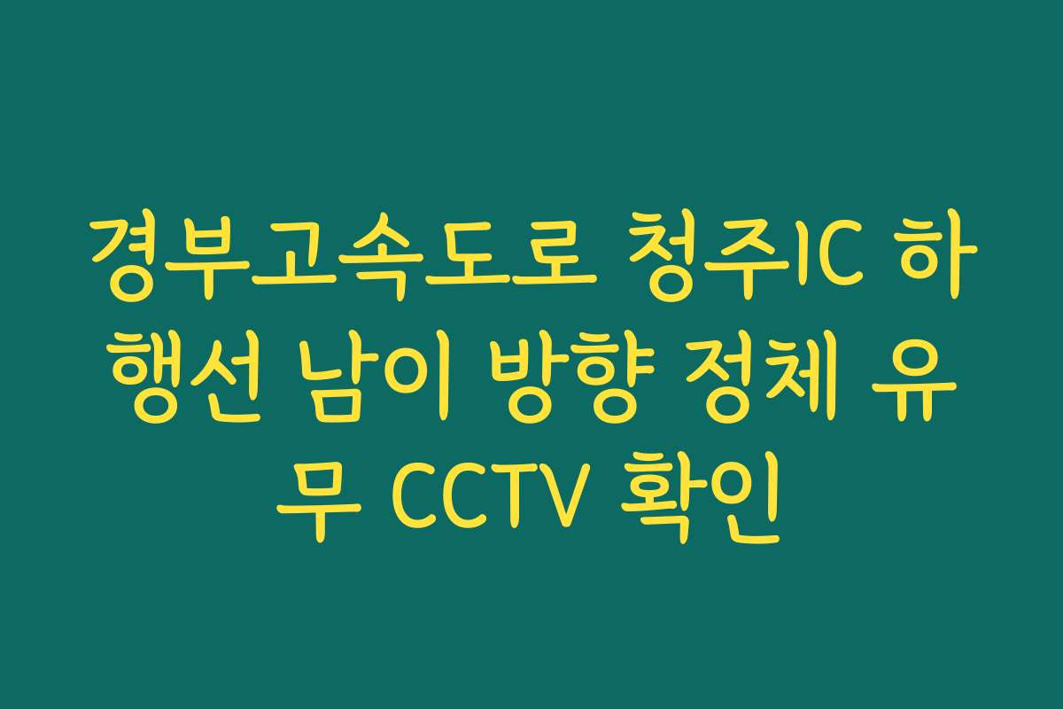 경부고속도로 청주IC 하행선 남이 방향 정체 유무 CCTV 확인