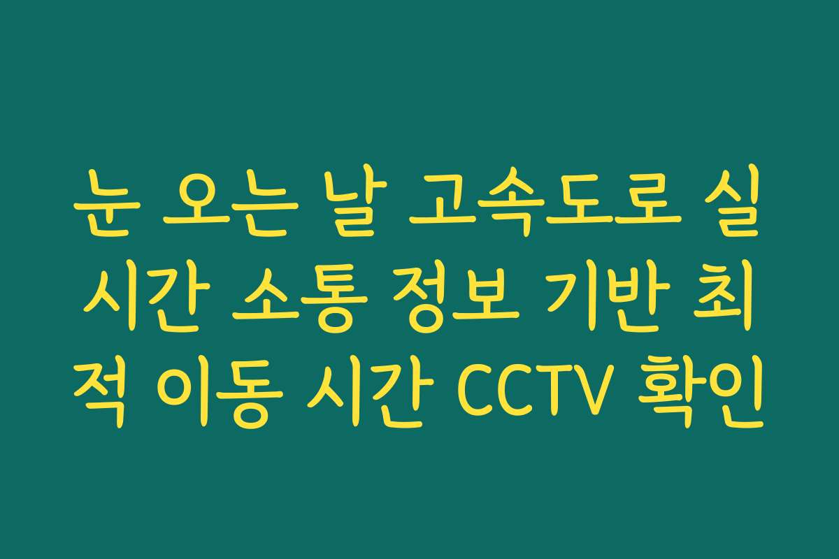 눈 오는 날 고속도로 실시간 소통 정보 기반 최적 이동 시간 CCTV 확인