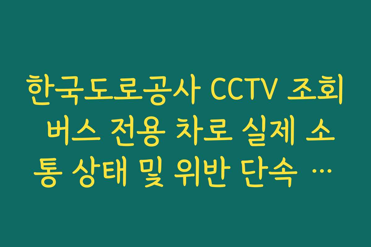 한국도로공사 CCTV 조회 버스 전용 차로 실제 소통 상태 및 위반 단속 확인