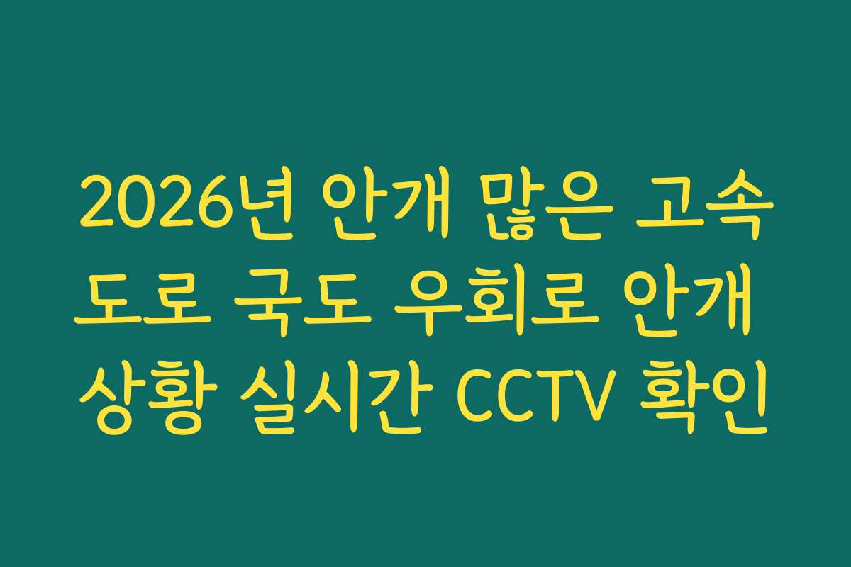 2026년 안개 많은 고속도로 국도 우회로 안개 상황 실시간 CCTV 확인