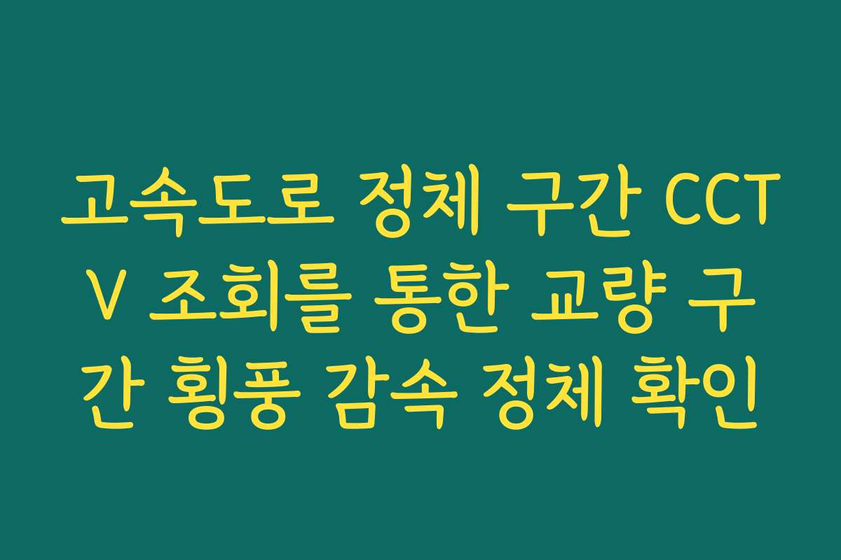 고속도로 정체 구간 CCTV 조회를 통한 교량 구간 횡풍 감속 정체 확인