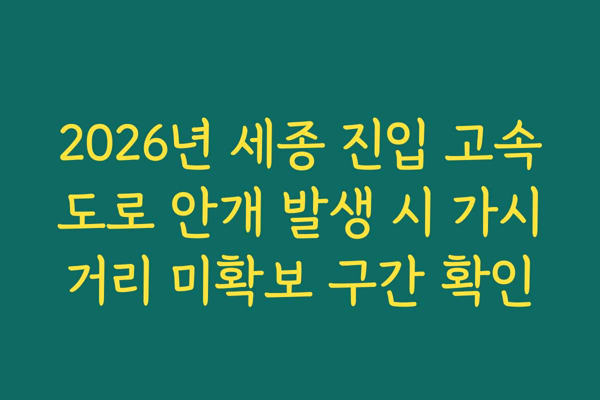 2026년 세종 진입 고속도로 안개 발생 시 가시거리 미확보 구간 확인