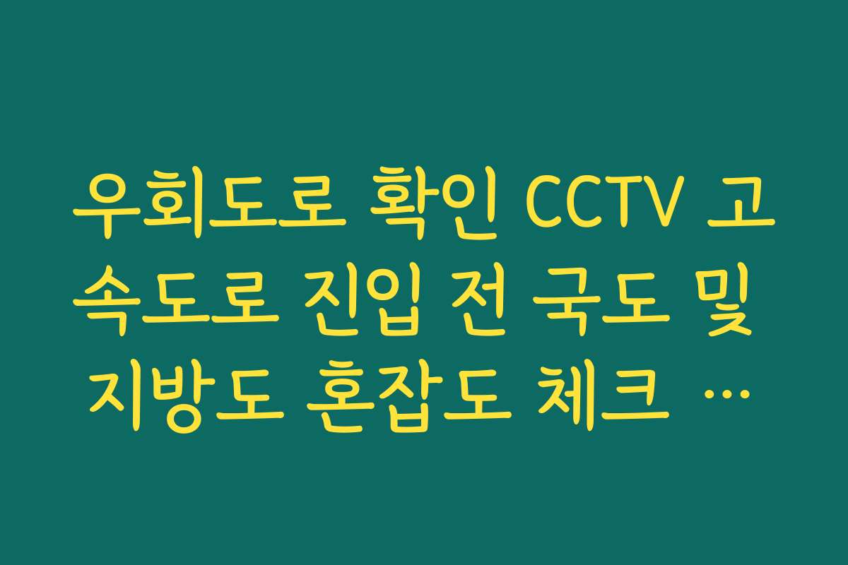 우회도로 확인 CCTV 고속도로 진입 전 국도 및 지방도 혼잡도 체크 가이드