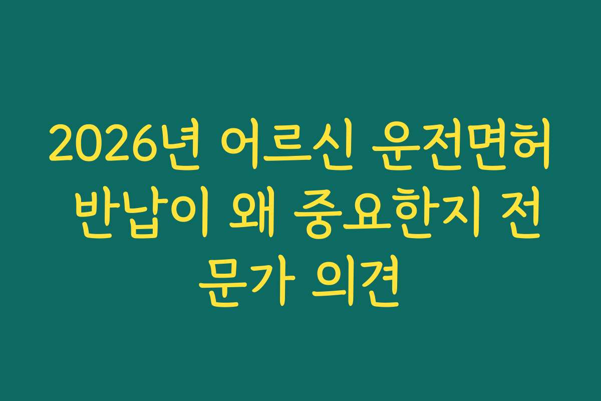 2026년 어르신 운전면허 반납이 왜 중요한지 전문가 의견