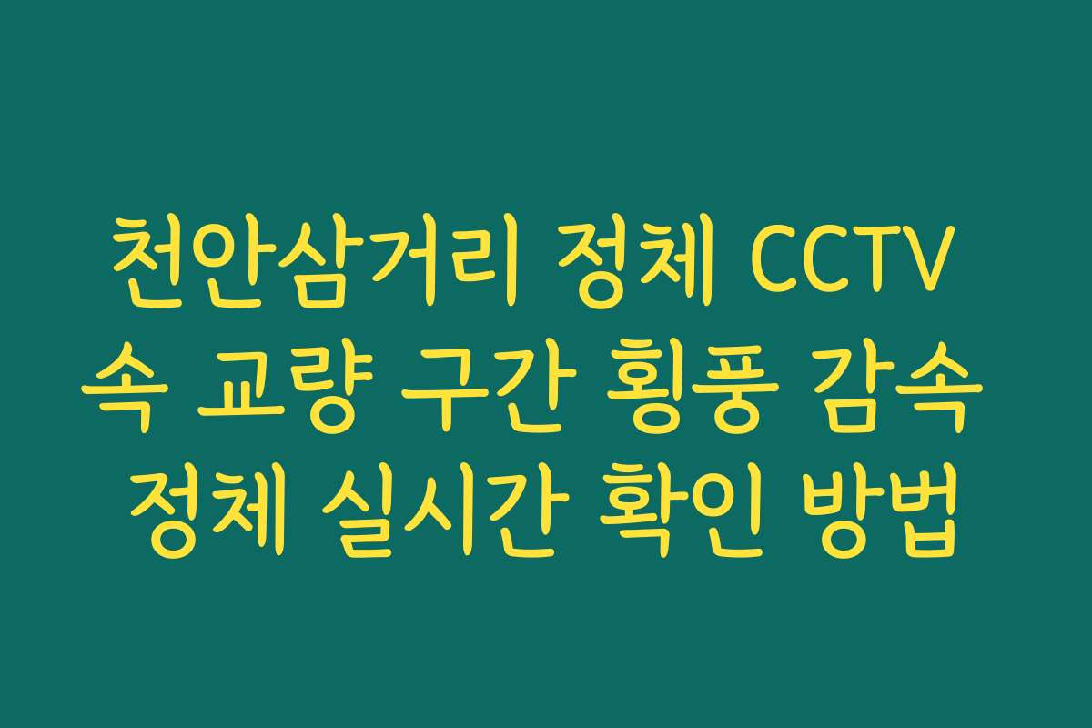 천안삼거리 정체 CCTV 속 교량 구간 횡풍 감속 정체 실시간 확인 방법