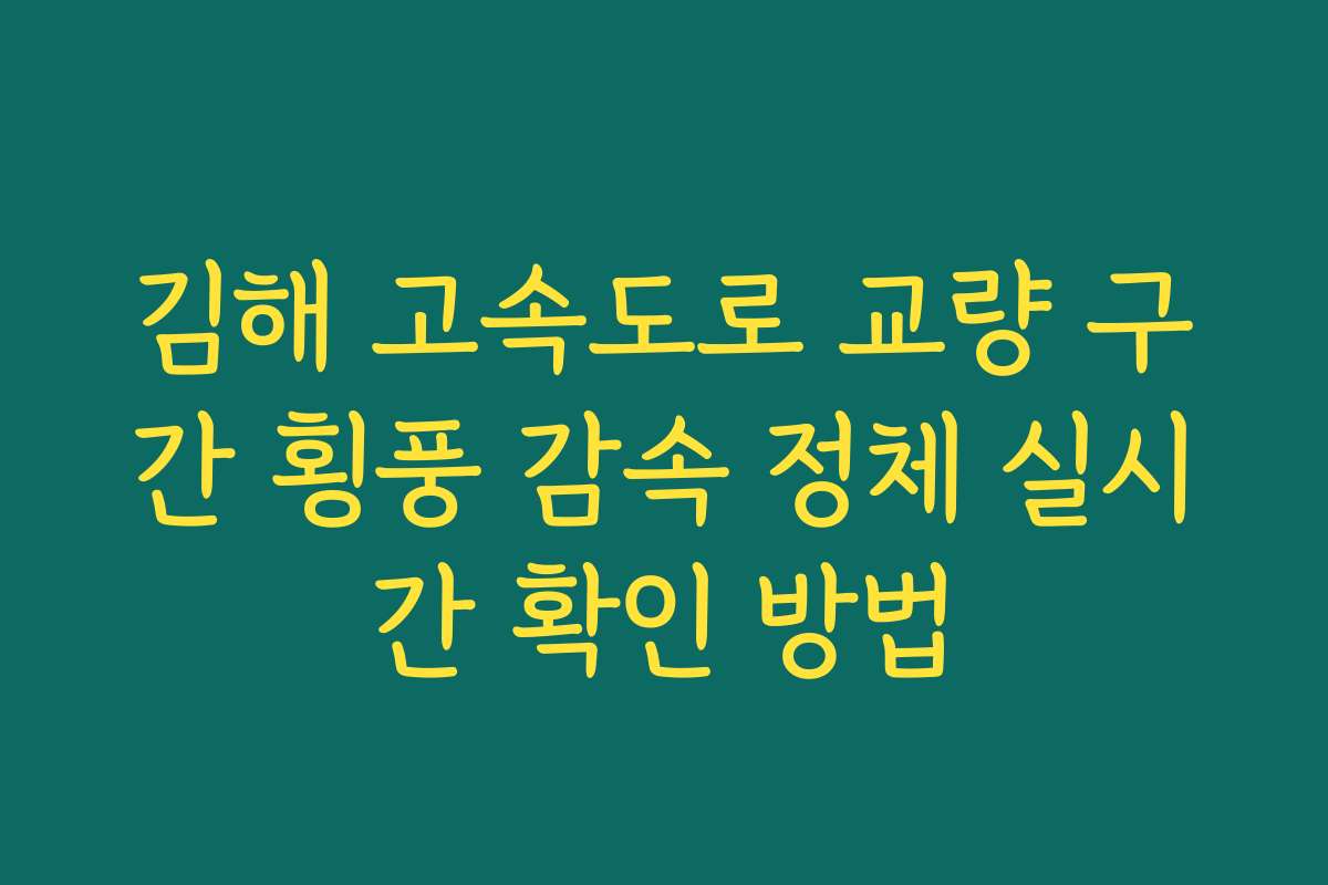 김해 고속도로 교량 구간 횡풍 감속 정체 실시간 확인 방법
