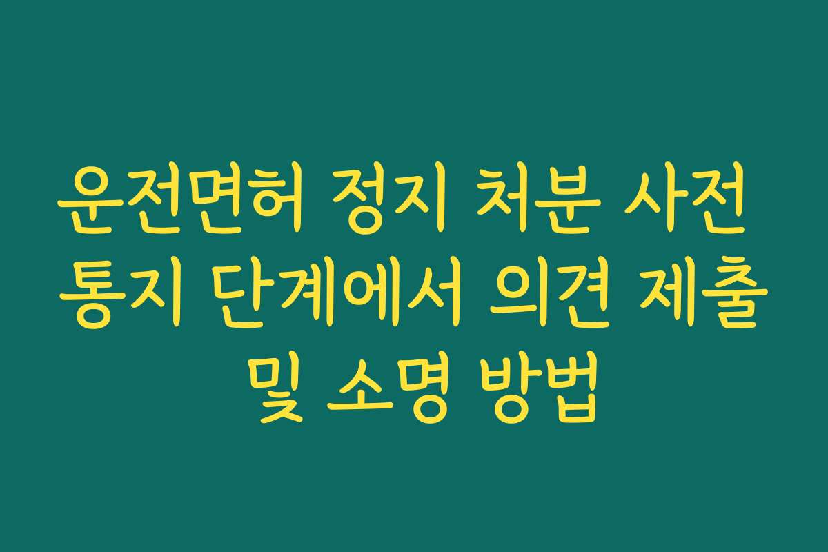운전면허 정지 처분 사전 통지 단계에서 의견 제출 및 소명 방법