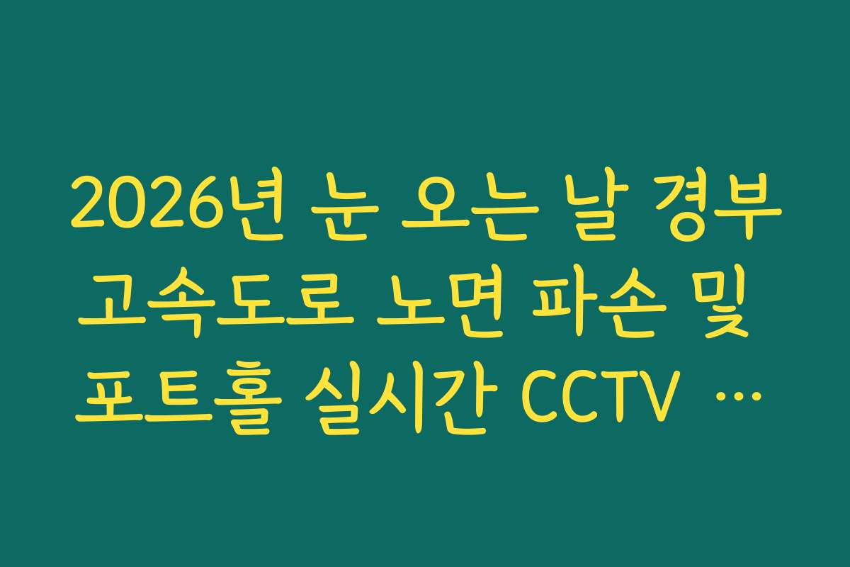 2026년 눈 오는 날 경부고속도로 노면 파손 및 포트홀 실시간 CCTV 체크
