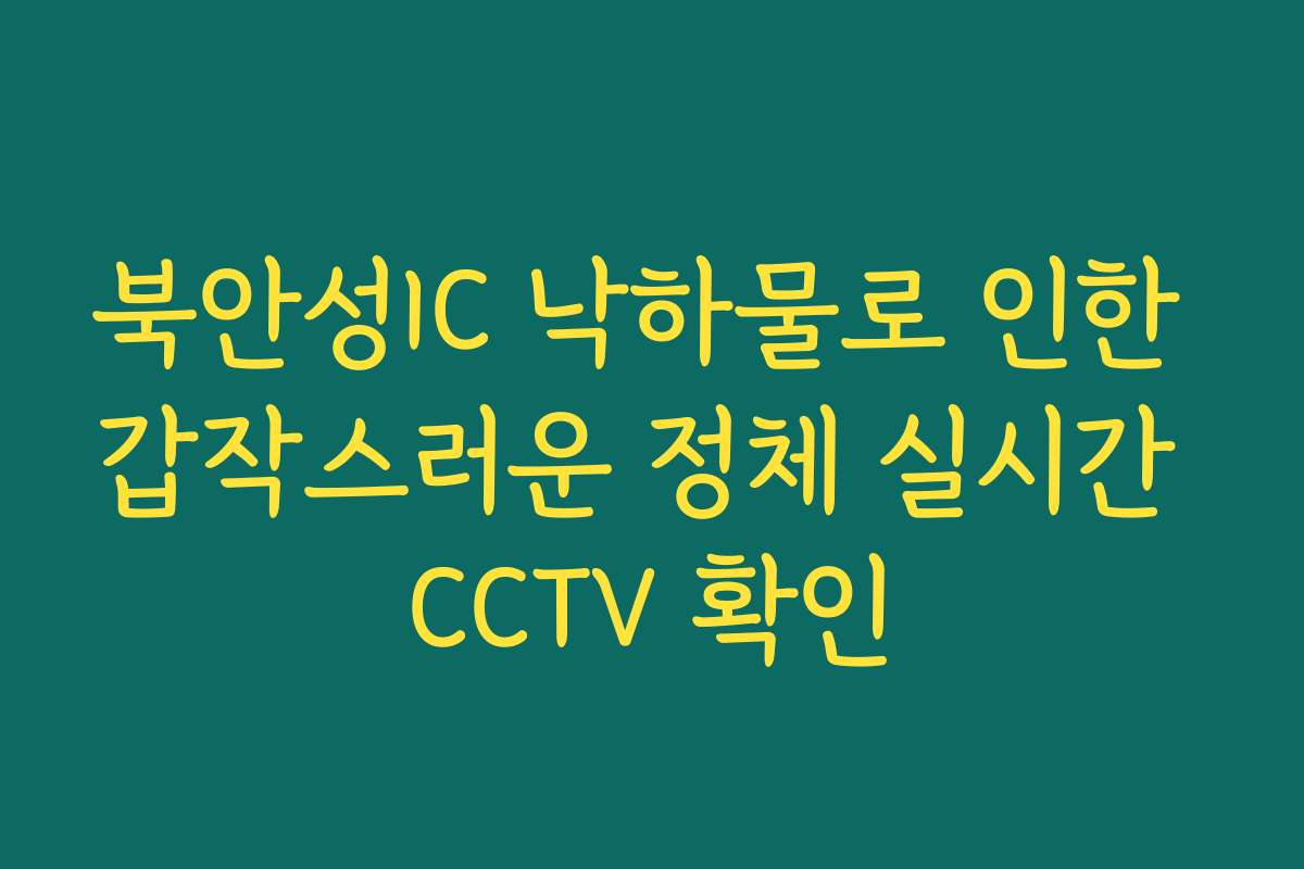 북안성IC 낙하물로 인한 갑작스러운 정체 실시간 CCTV 확인