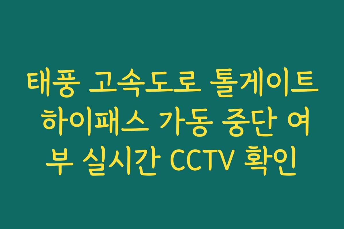 태풍 고속도로 톨게이트 하이패스 가동 중단 여부 실시간 CCTV 확인