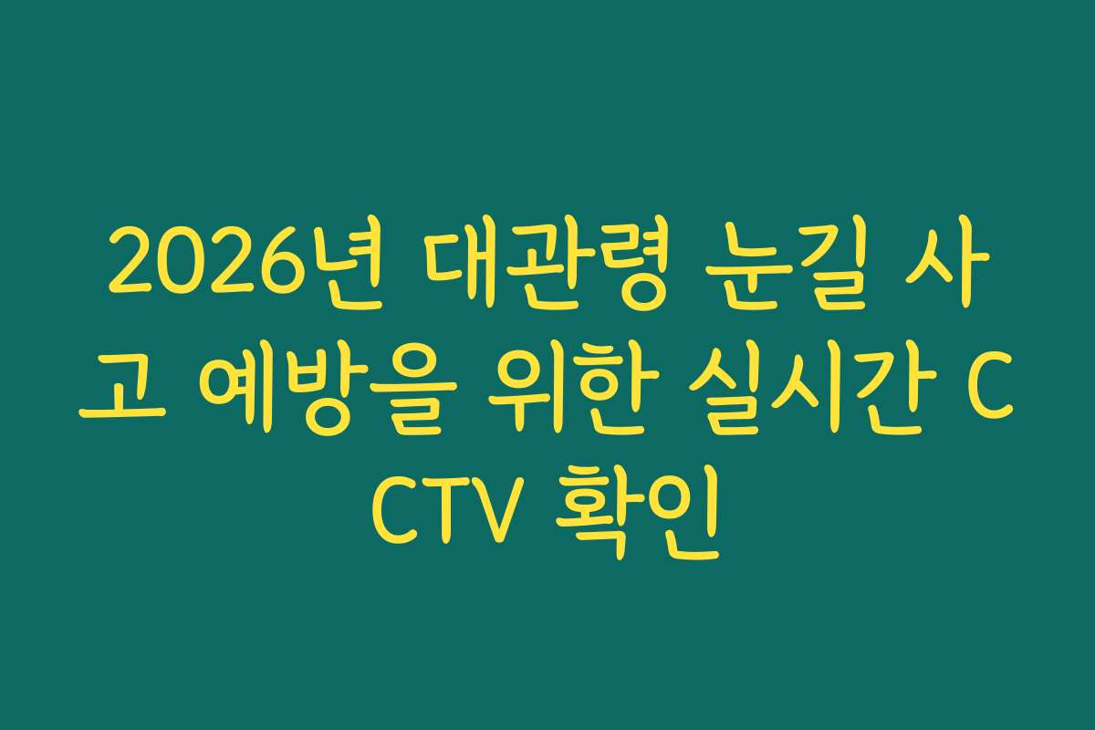 2026년 대관령 눈길 사고 예방을 위한 실시간 CCTV 확인
