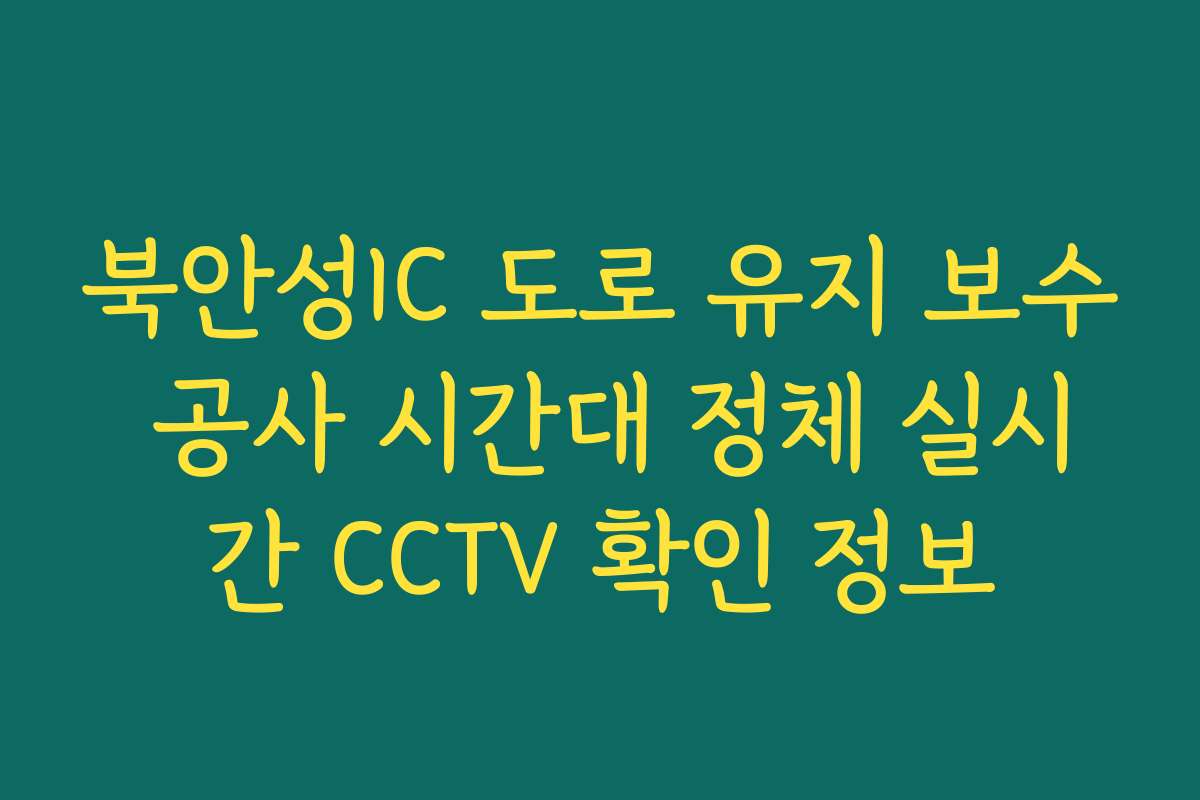 북안성IC 도로 유지 보수 공사 시간대 정체 실시간 CCTV 확인 정보