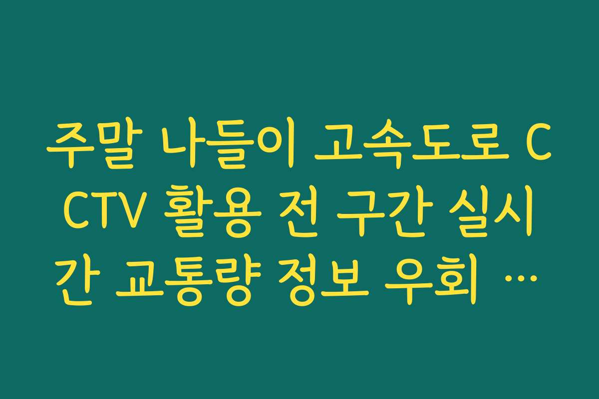 주말 나들이 고속도로 CCTV 활용 전 구간 실시간 교통량 정보 우회 분석