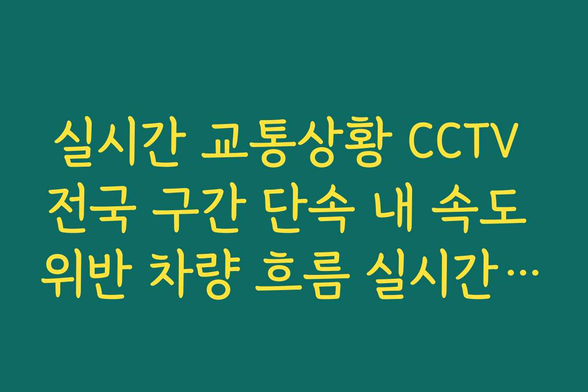실시간 교통상황 CCTV 전국 구간 단속 내 속도 위반 차량 흐름 실시간 확인