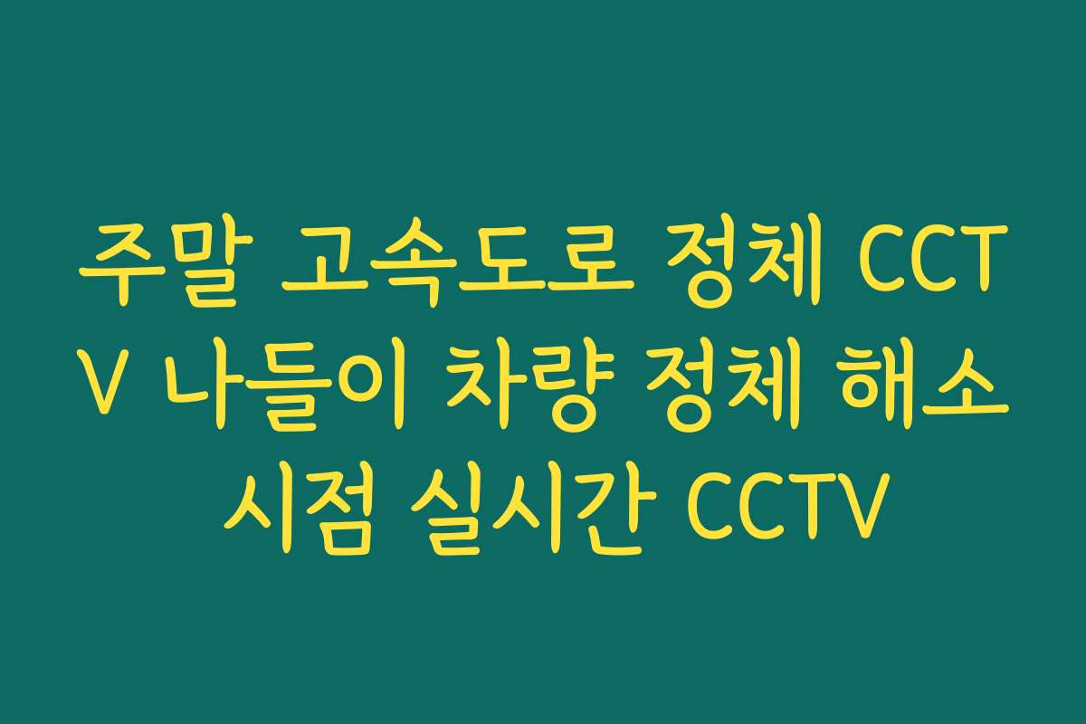 주말 고속도로 정체 CCTV 나들이 차량 정체 해소 시점 실시간 CCTV