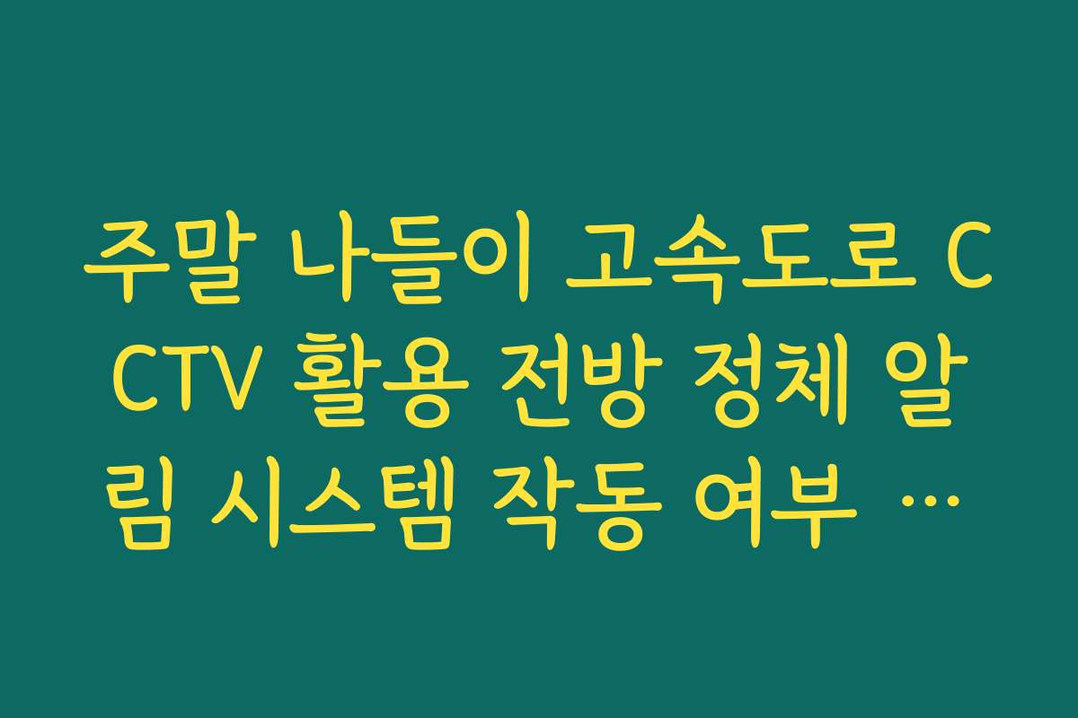 주말 나들이 고속도로 CCTV 활용 전방 정체 알림 시스템 작동 여부 체크
