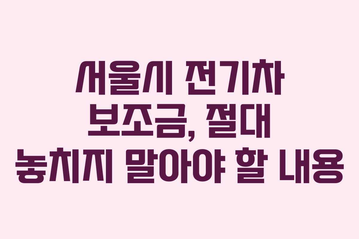 서울시 전기차 보조금, 절대 놓치지 말아야 할 내용