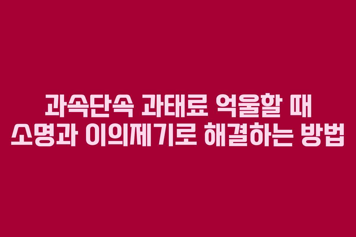 과속단속 과태료 억울할 때 소명과 이의제기로 해결하는 방법