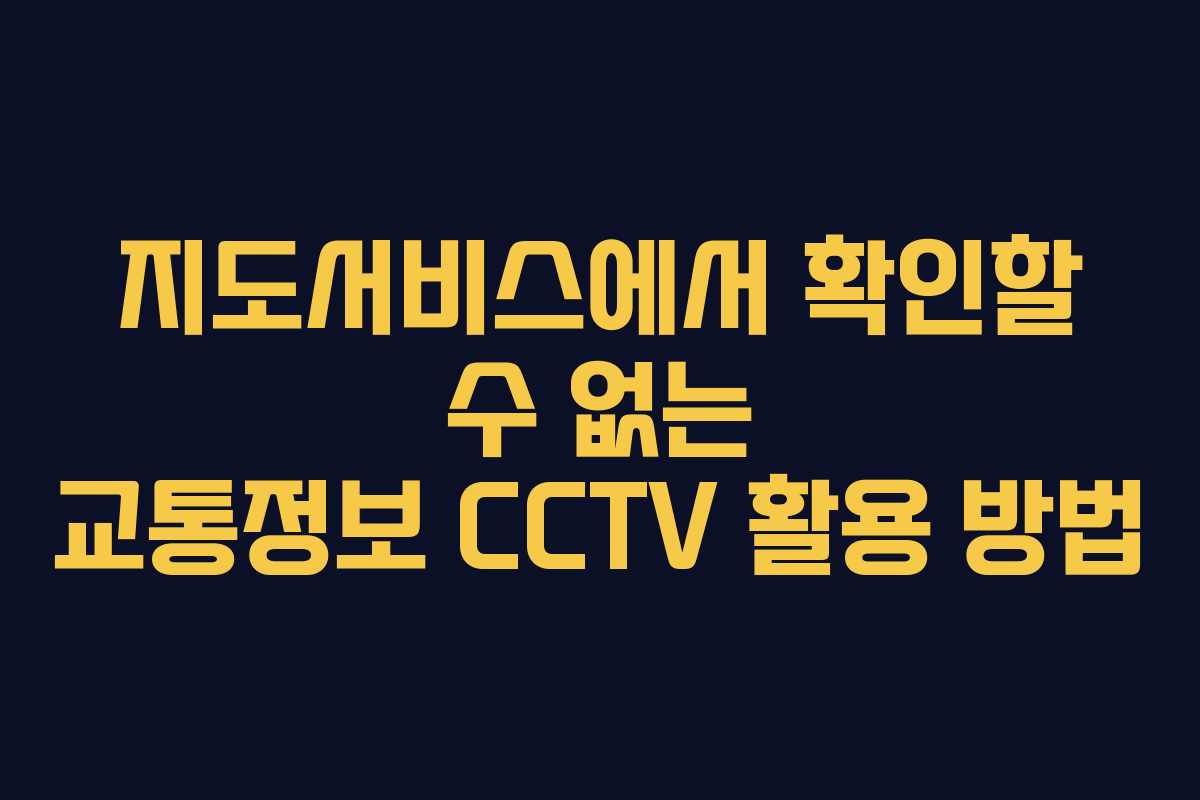 지도서비스에서 확인할 수 없는 교통정보 CCTV 활용 방법