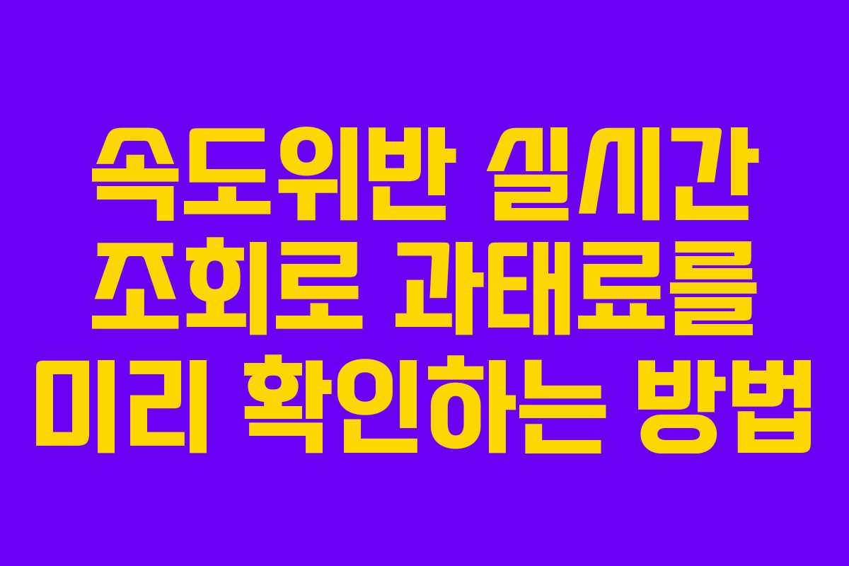 속도위반 실시간 조회로 과태료를 미리 확인하는 방법