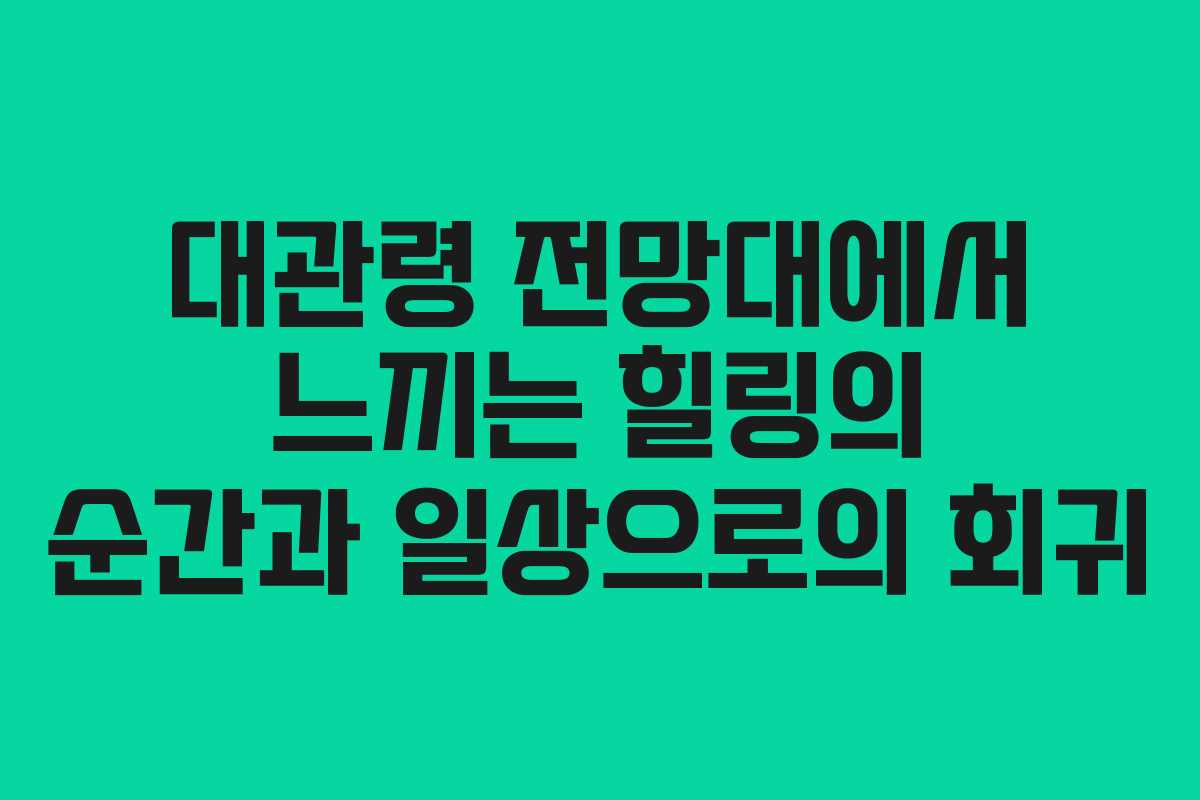 대관령 전망대에서 느끼는 힐링의 순간과 일상으로의 회귀