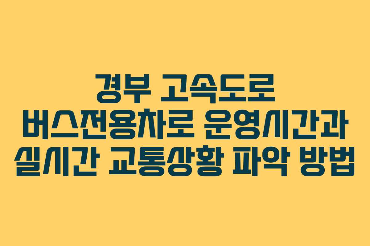 경부 고속도로 버스전용차로 운영시간과 실시간 교통상황 파악 방법