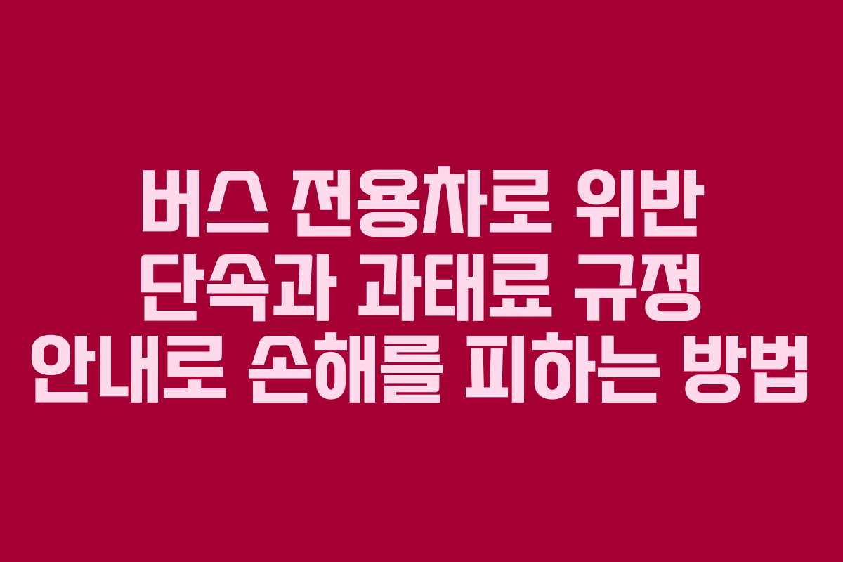 버스 전용차로 위반 단속과 과태료 규정 안내로 손해를 피하는 방법