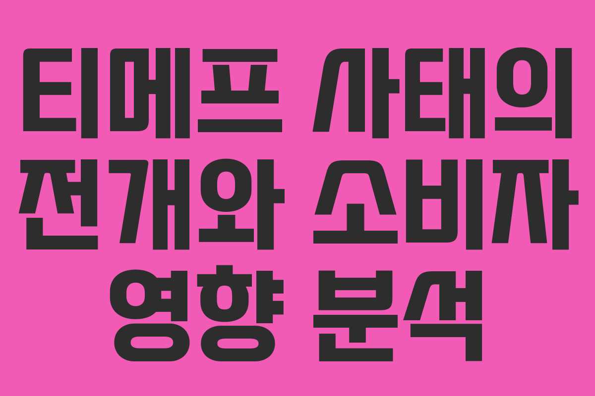 티메프 사태의 전개와 소비자 영향 분석