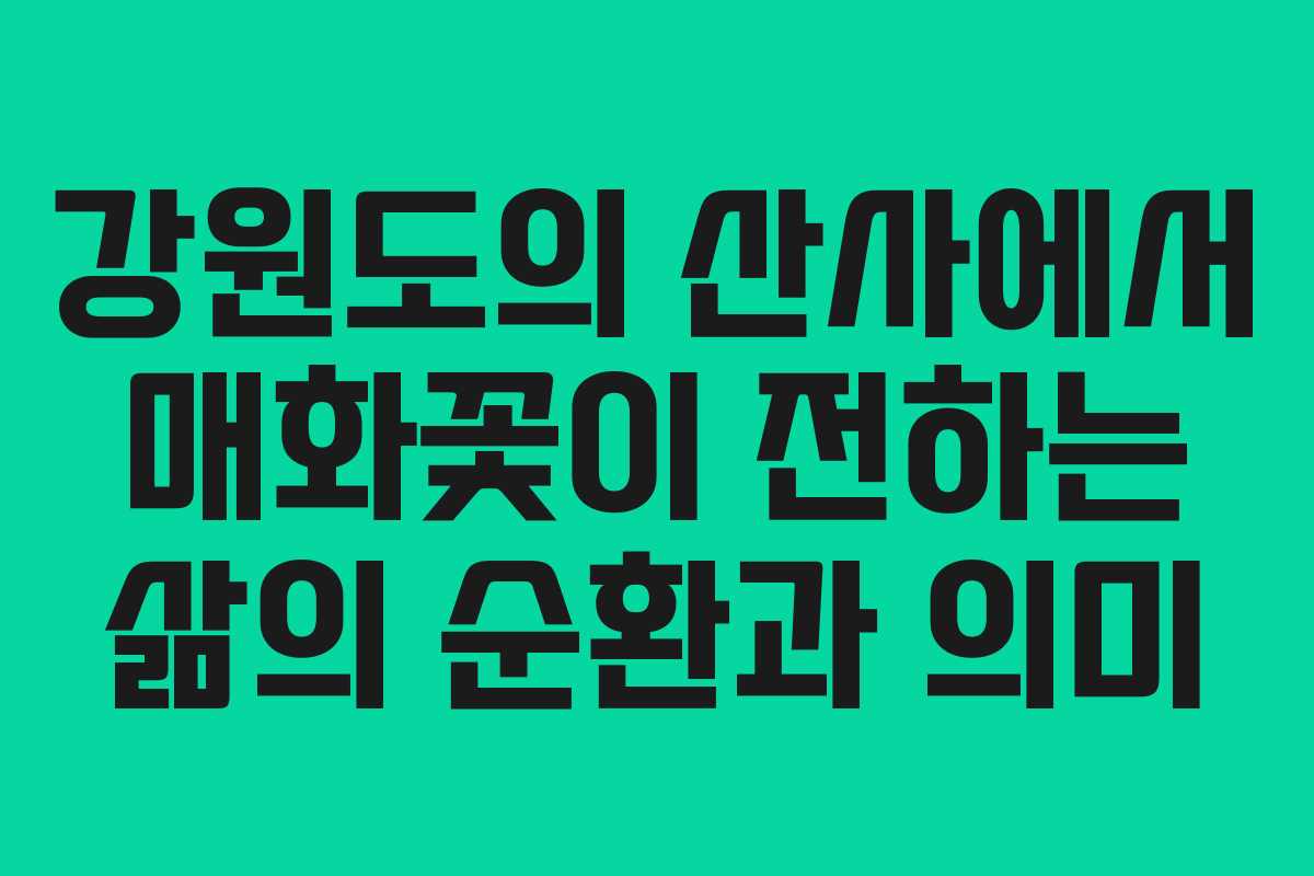 강원도의 산사에서 매화꽃이 전하는 삶의 순환과 의미