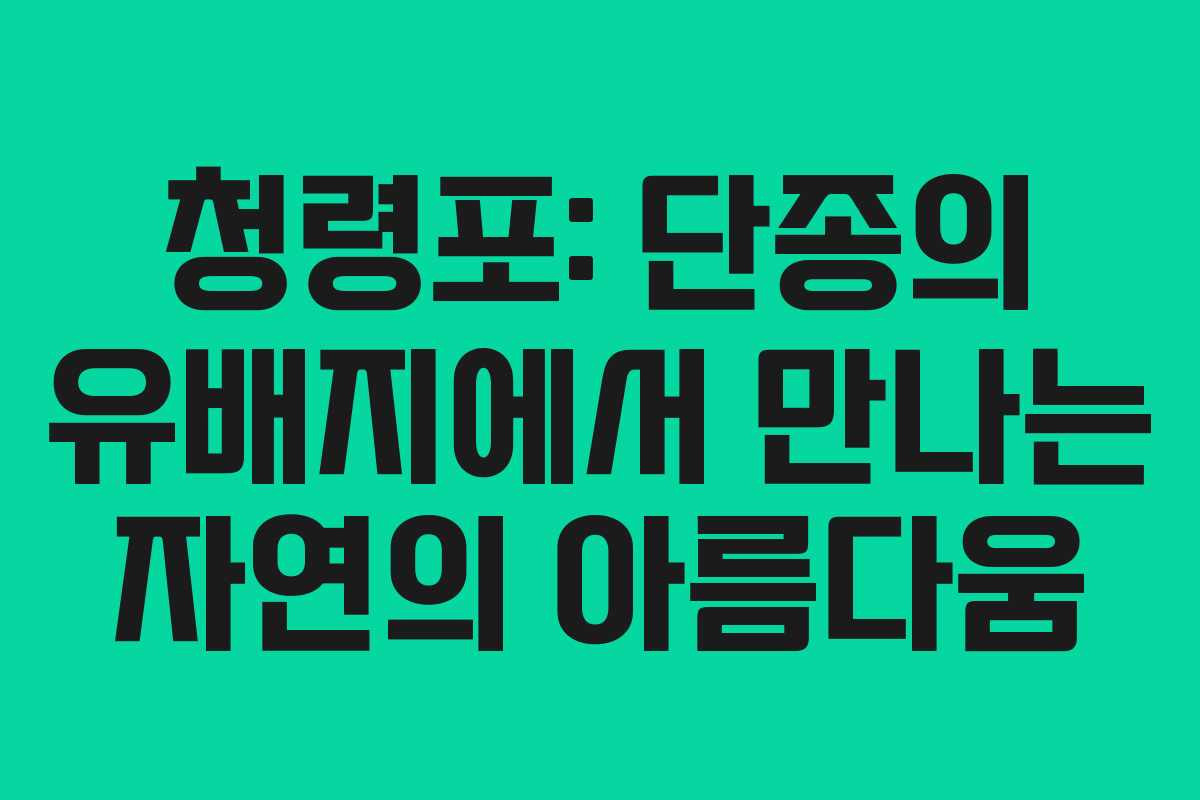 청령포: 단종의 유배지에서 만나는 자연의 아름다움