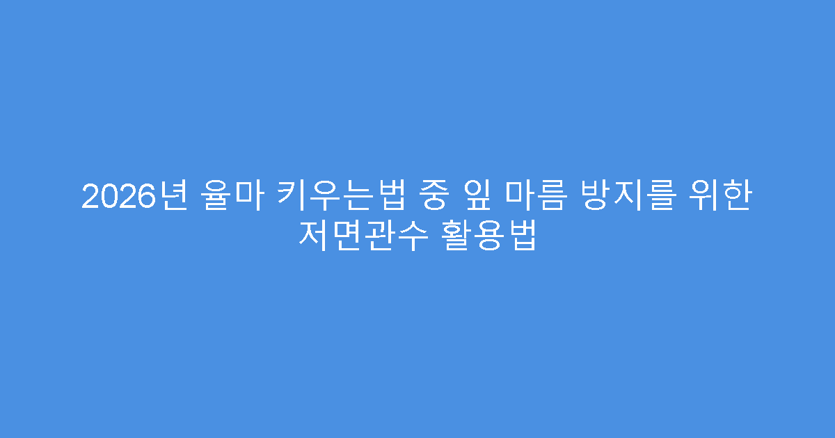 2026년 율마 키우는법 중 잎 마름 방지를 위한 저면관수 활용법