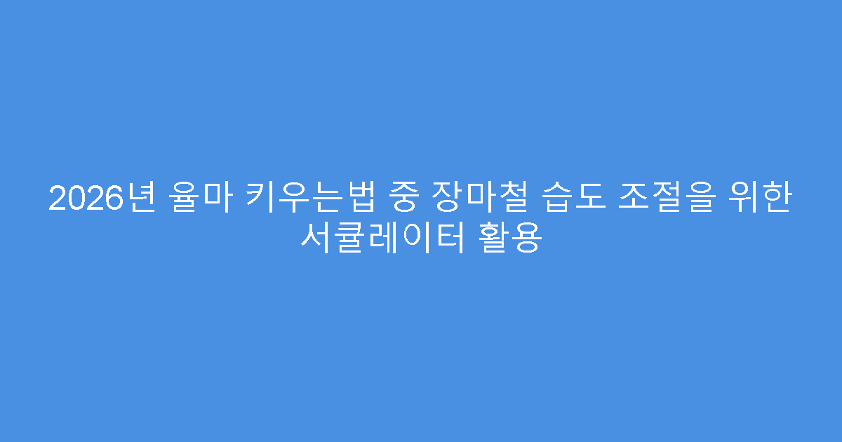 2026년 율마 키우는법 중 장마철 습도 조절을 위한 서큘레이터 활용
