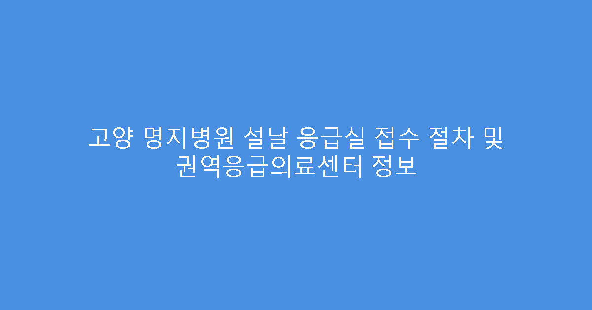 고양 명지병원 설날 응급실 접수 절차 및 권역응급의료센터 정보