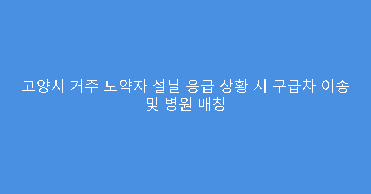 고양시 거주 노약자 설날 응급 상황 시 구급차 이송 및 병원 매칭