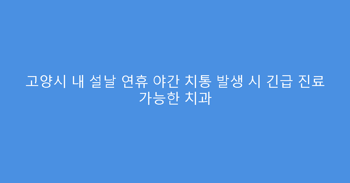 고양시 내 설날 연휴 야간 치통 발생 시 긴급 진료 가능한 치과