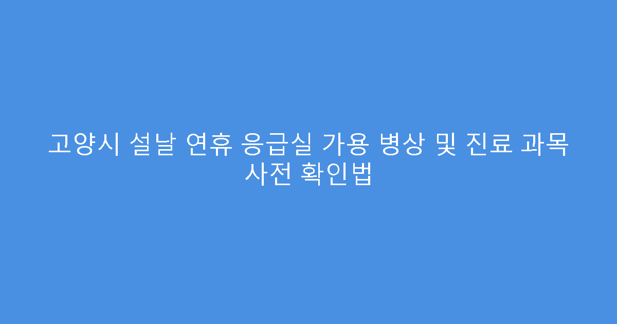 고양시 설날 연휴 응급실 가용 병상 및 진료 과목 사전 확인법