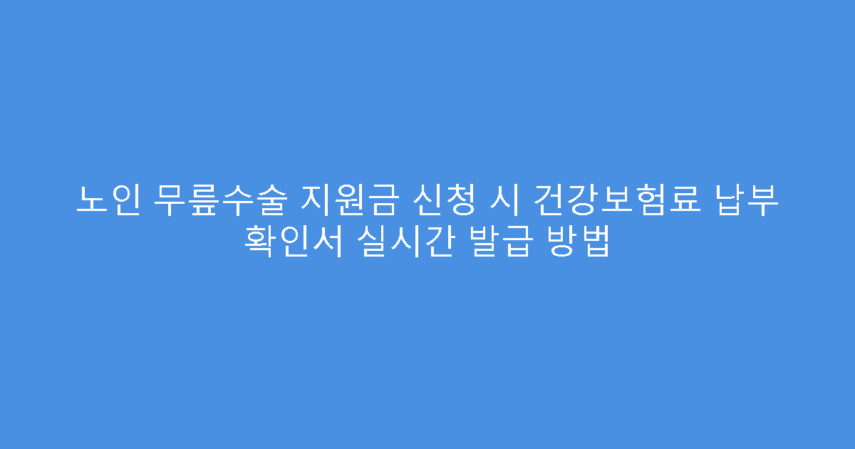 노인 무릎수술 지원금 신청 시 건강보험료 납부 확인서 실시간 발급 방법