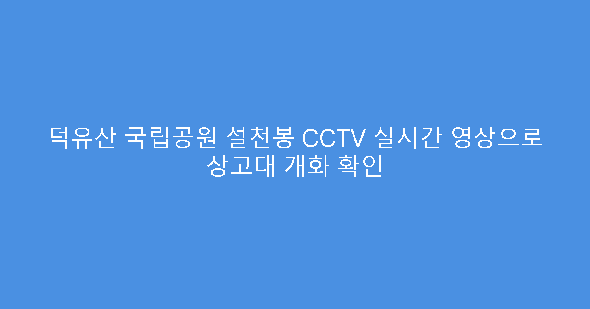 덕유산 국립공원 설천봉 CCTV 실시간 영상으로 상고대 개화 확인