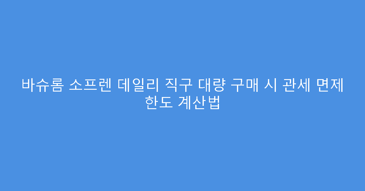 바슈롬 소프렌 데일리 직구 대량 구매 시 관세 면제 한도 계산법
