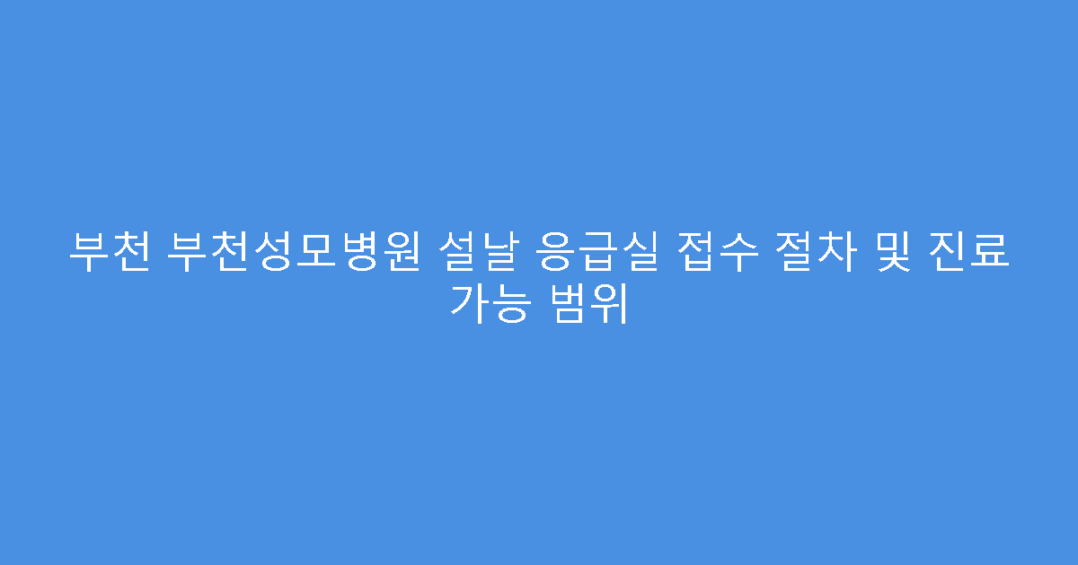 부천 부천성모병원 설날 응급실 접수 절차 및 진료 가능 범위