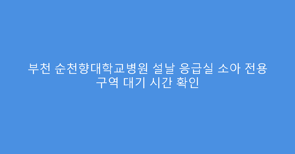 부천 순천향대학교병원 설날 응급실 소아 전용 구역 대기 시간 확인