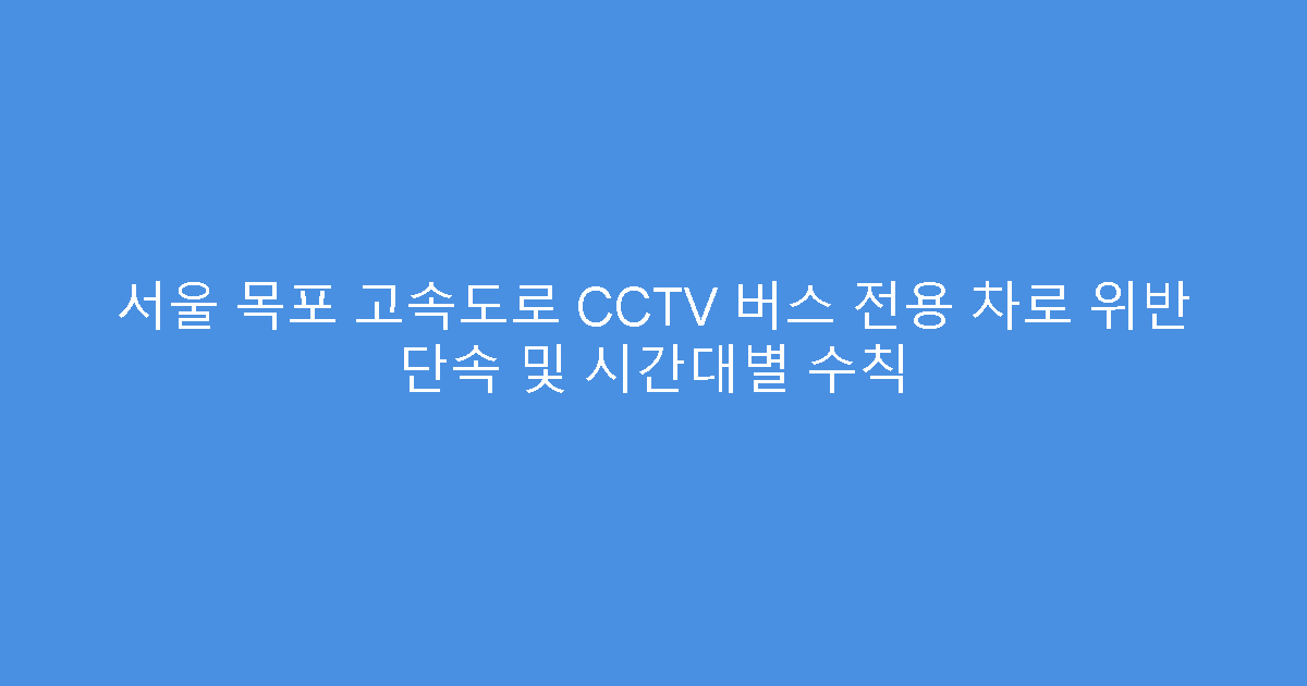 서울 목포 고속도로 CCTV 버스 전용 차로 위반 단속 및 시간대별 수칙