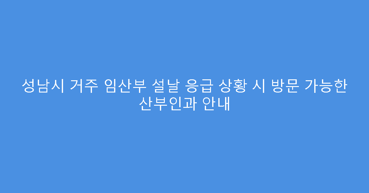 성남시 거주 임산부 설날 응급 상황 시 방문 가능한 산부인과 안내