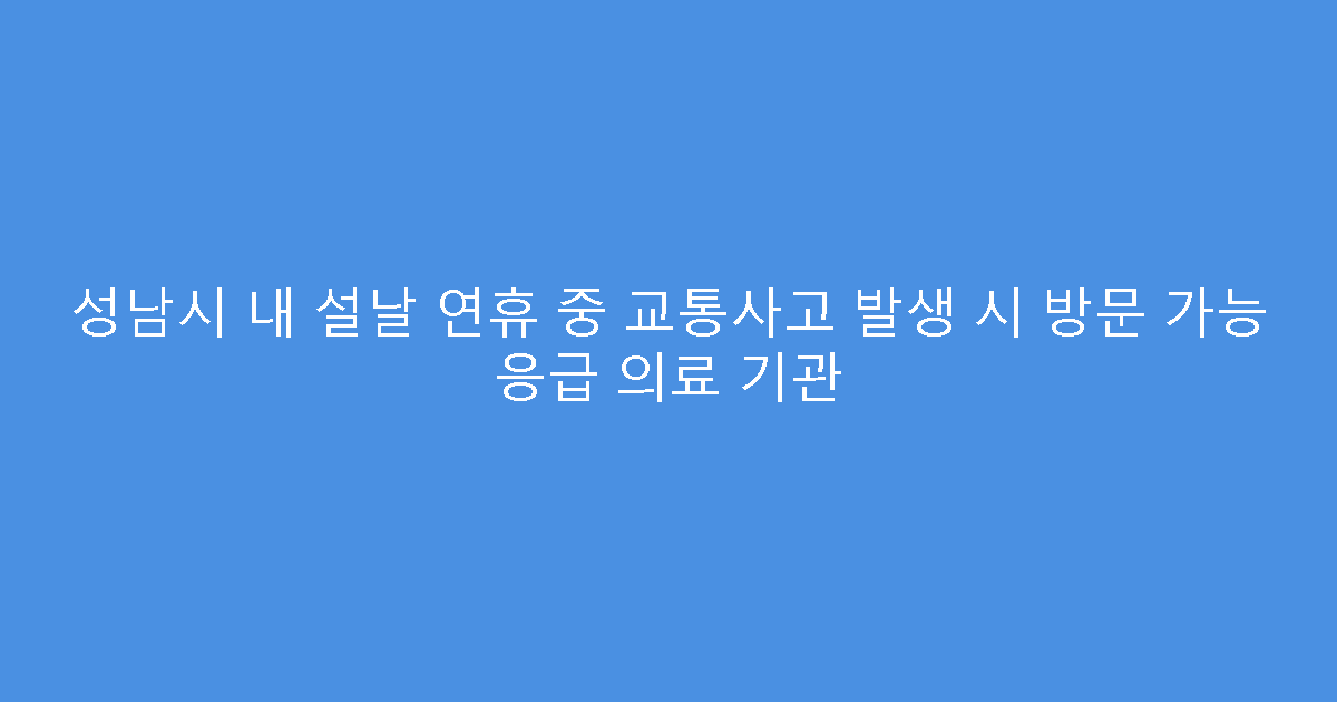 성남시 내 설날 연휴 중 교통사고 발생 시 방문 가능 응급 의료 기관