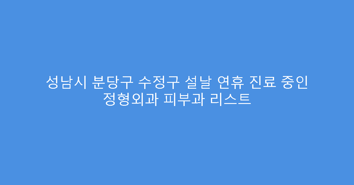 성남시 분당구 수정구 설날 연휴 진료 중인 정형외과 피부과 리스트