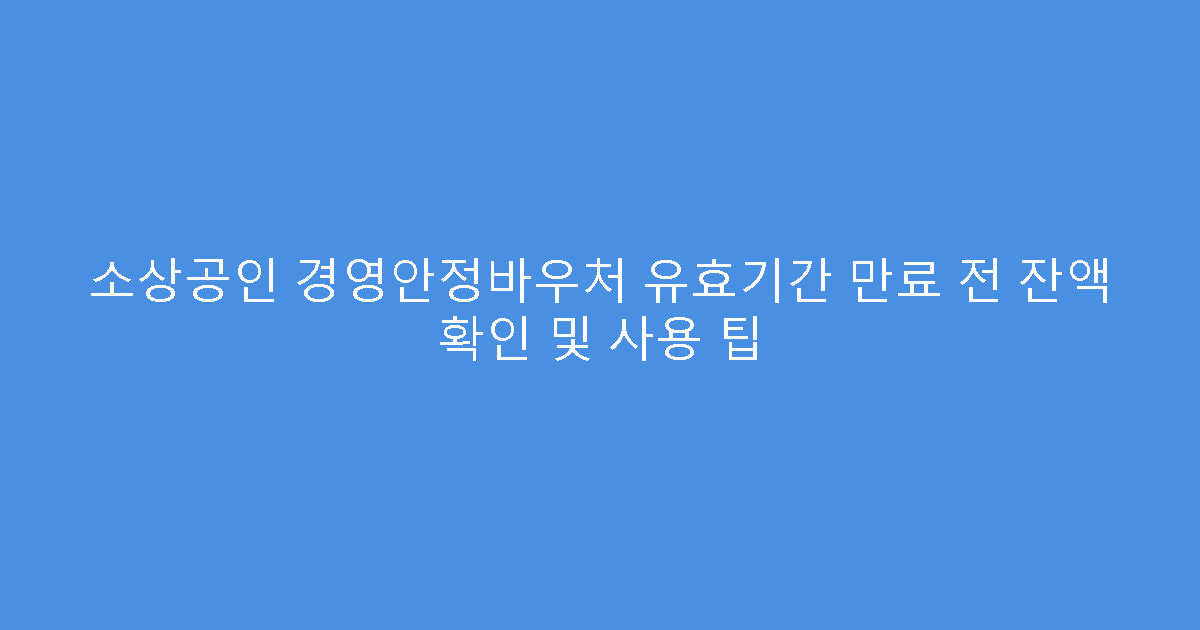소상공인 경영안정바우처 유효기간 만료 전 잔액 확인 및 사용 팁