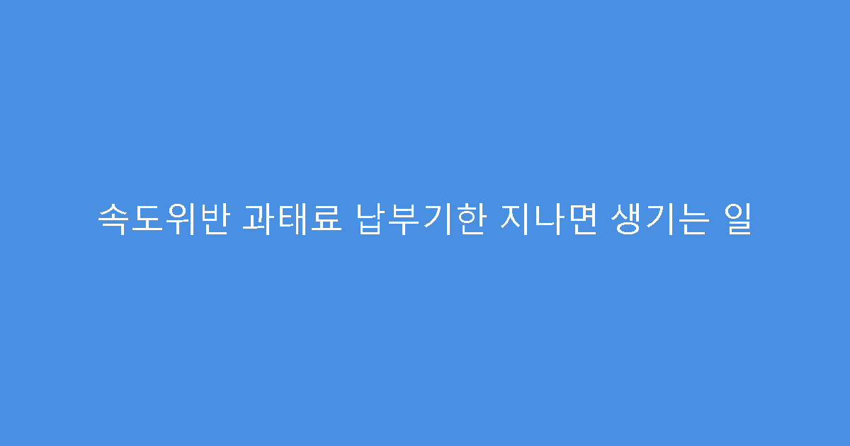 속도위반 과태료 납부기한 지나면 생기는 일