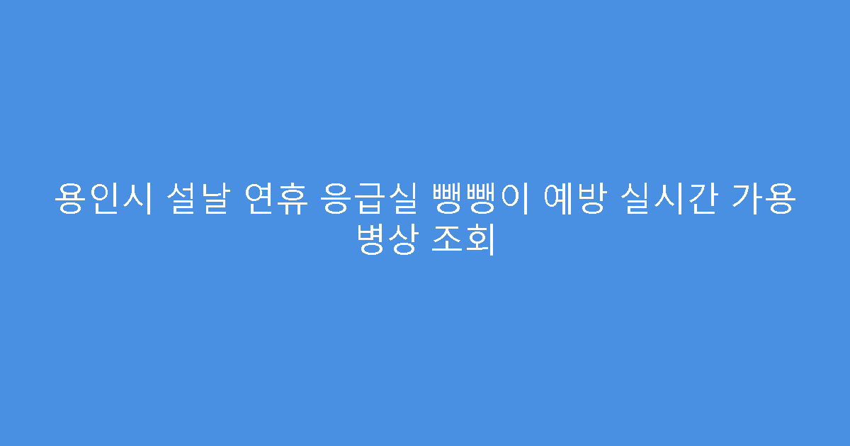 용인시 설날 연휴 응급실 뺑뺑이 예방 실시간 가용 병상 조회
